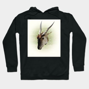 Eland antelope Hoodie